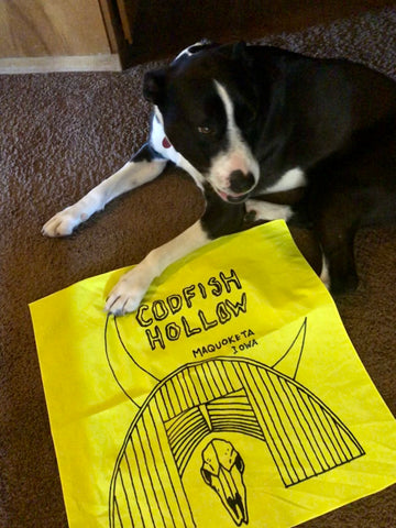 Neon Bandanna